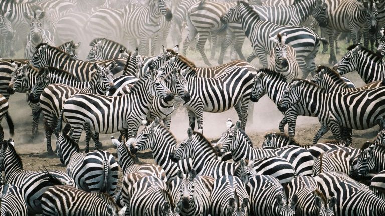 Blending In Marketing Featured Image